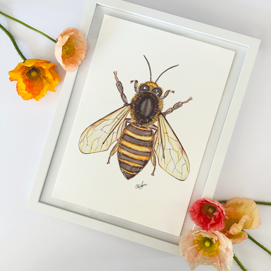 Bee print - Alice Jane Art & Prints
